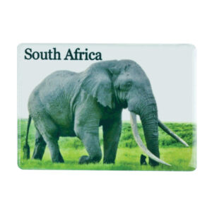 Magnet Elephant South Africa Flag