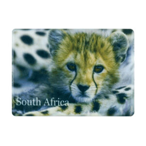 Magnet Cheetah Cub South Africa Flag