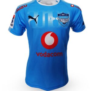 Bulls Jersey Mens Blue