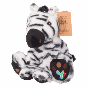 Eco Big Foot Zebra South Africa Flag