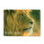 Magnet Lion South Africa Flag